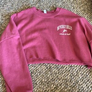 Pacsun cropped sweatshirt